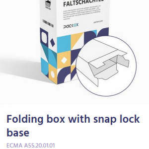Folding Box With Rectangular Window / Cut-Outs